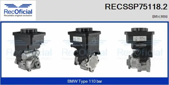 Hydraulic Pump, steering (RECSSP75118.2)