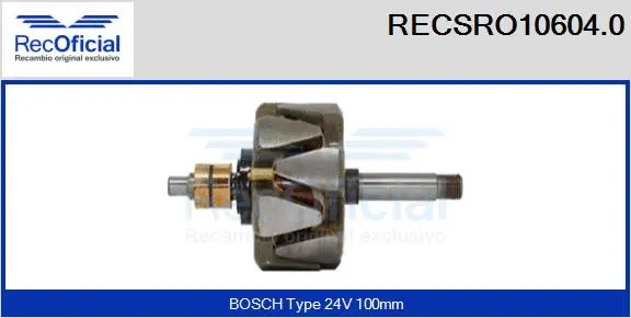 Rotor, alternator (RECSRO10604.0)