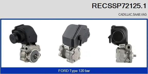 Hydraulic Pump, steering (RECSSP72125.1)