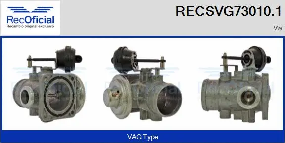 EGR Valve (RECSVG73010.1)