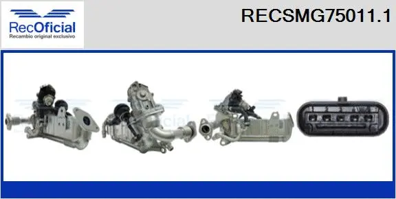 EGR Module (RECSMG75011.1)