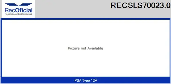 Steering Column Switch (RECSLS70023.0)