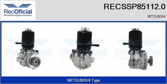 Hydraulic Pump, steering (RECSSP85112.0)