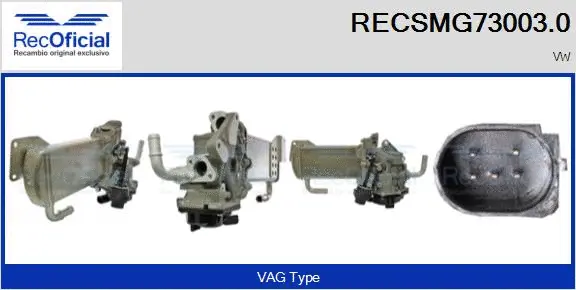 EGR Module (RECSMG73003.0)