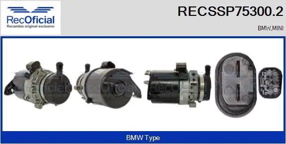 Hydraulic Pump, steering (RECSSP75300.2)