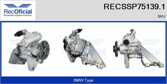 Hydraulic Pump, steering (RECSSP75139.1)