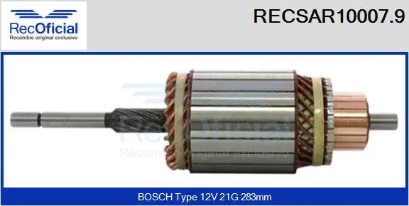 Armature, starter (RECSAR10007.9)