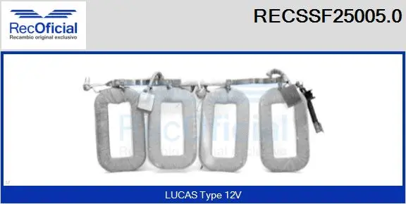 Field Winding, starter (RECSSF25005.0)