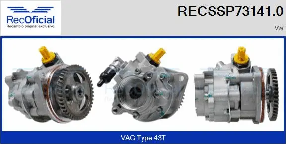 Hydraulic Pump, steering (RECSSP73141.0)