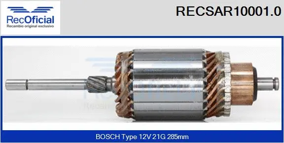 Armature, starter (RECSAR10001.0)