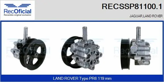 Hydraulic Pump, steering (RECSSP81100.1)