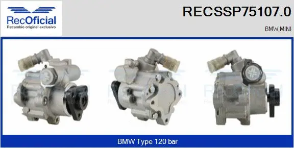 Hydraulic Pump, steering (RECSSP75107.0)