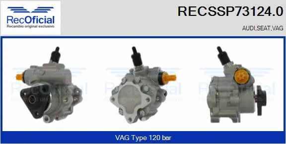 Hydraulic Pump, steering (RECSSP73124.0)