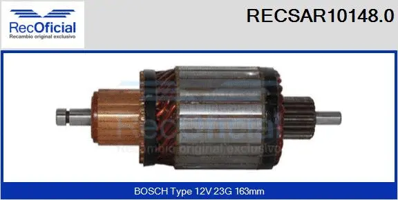 Armature, starter (RECSAR10148.0)