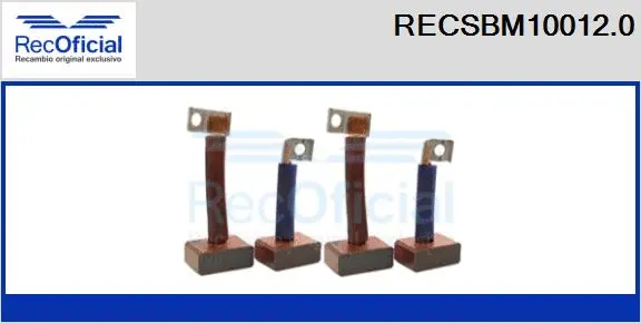 Carbon Brush, starter (RECSBM10012.0)