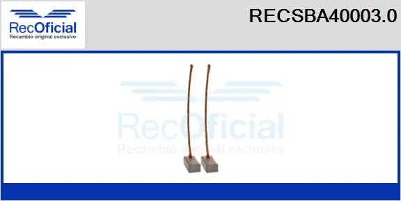 Carbon Brush, alternator (RECSBA40003.0)