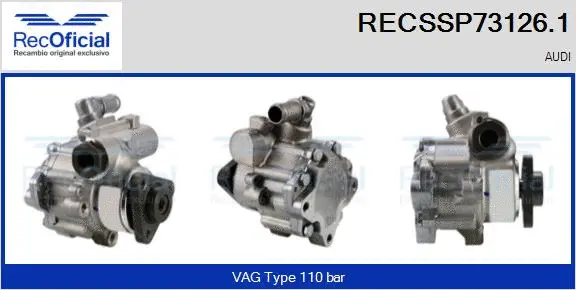 Hydraulic Pump, steering (RECSSP73126.1)