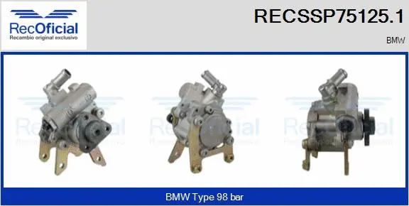 Hydraulic Pump, steering (RECSSP75125.1)