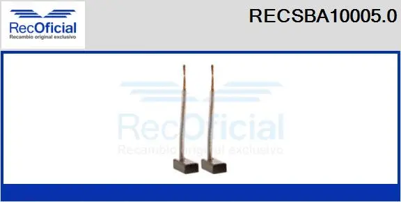 Carbon Brush, alternator (RECSBA10005.0)