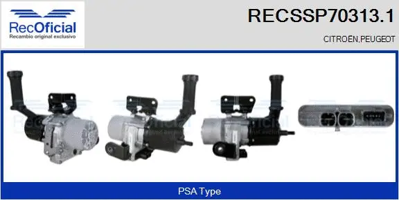 Hydraulic Pump, steering (RECSSP70313.1)