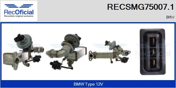EGR Module (RECSMG75007.1)