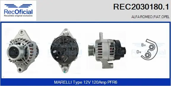 Alternator (REC2030180.1)