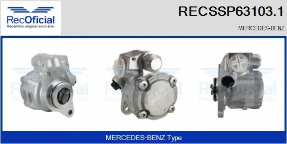 Hydraulic Pump, steering (RECSSP63103.1)