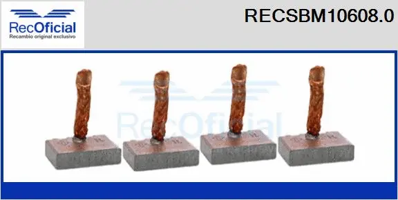 Carbon Brush, starter (RECSBM10608.0)