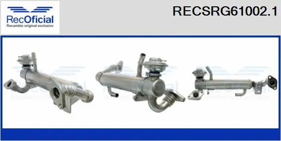 Cooler, exhaust gas recirculation (RECSRG61002.1)