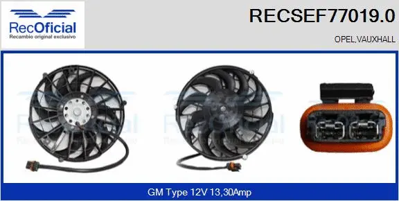 Electric Motor, radiator fan (RECSEF77019.0)