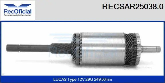 Armature, starter (RECSAR25038.0)