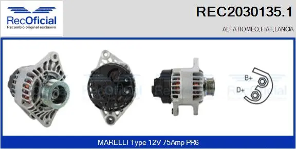 Alternator (REC2030135.1)