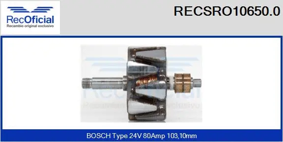 Rotor, alternator (RECSRO10650.0)