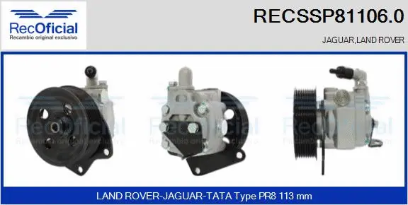 Hydraulic Pump, steering (RECSSP81106.0)