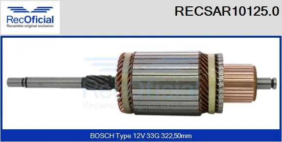 Armature, starter (RECSAR10125.0)