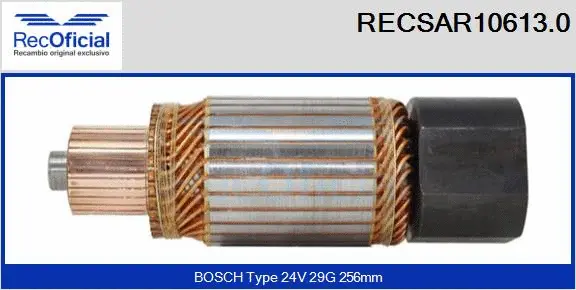 Armature, starter (RECSAR10613.0)