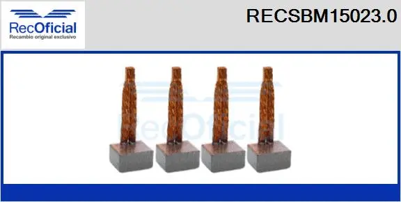 Carbon Brush, starter (RECSBM15023.0)