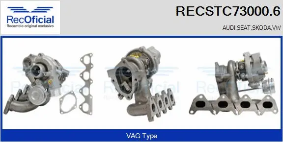 Charger, charging (supercharged/turbocharged) (RECSTC73000.6)
