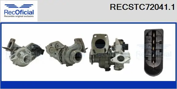 Charger, charging (supercharged/turbocharged) (RECSTC72041.1)