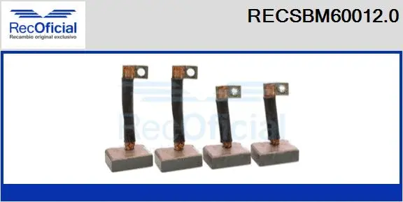 Carbon Brush, starter (RECSBM60012.0)