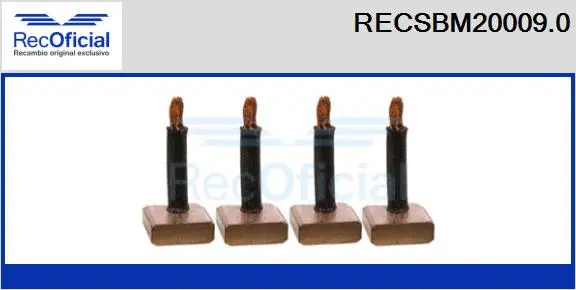 Carbon Brush, starter (RECSBM20009.0)