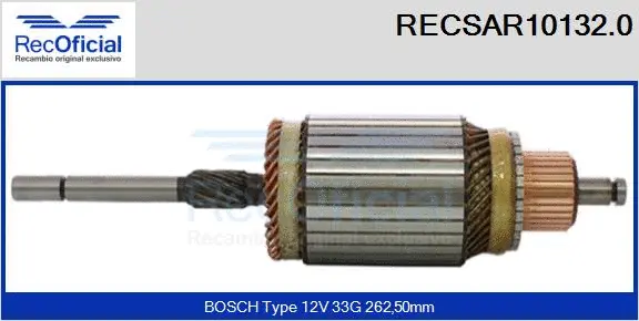 Armature, starter (RECSAR10132.0)