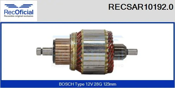 Armature, starter (RECSAR10192.0)