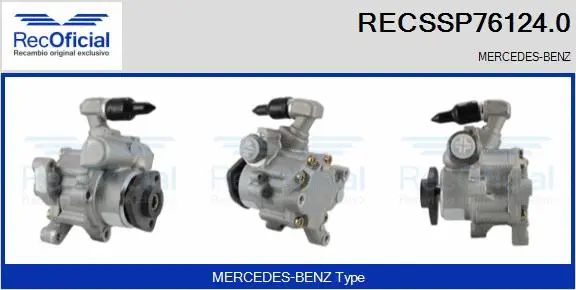 Hydraulic Pump, steering (RECSSP76124.0)