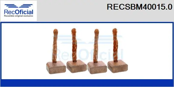 Carbon Brush, starter (RECSBM40015.0)