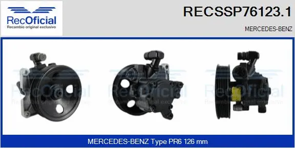 Hydraulic Pump, steering (RECSSP76123.1)