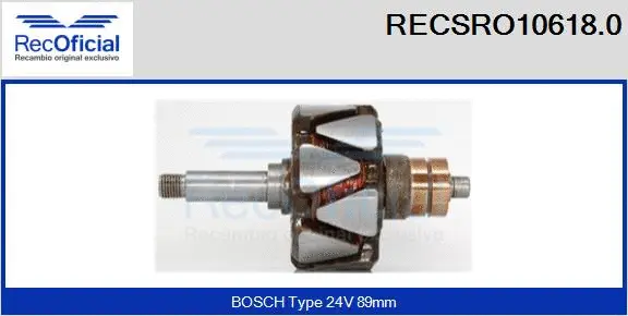 Rotor, alternator (RECSRO10618.0)