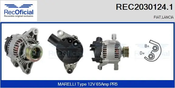 Alternator (REC2030124.1)
