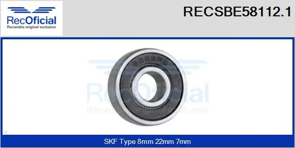 Bearing (RECSBE58112.1)
