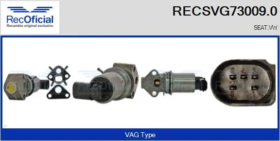 EGR Valve (RECSVG73009.0)
